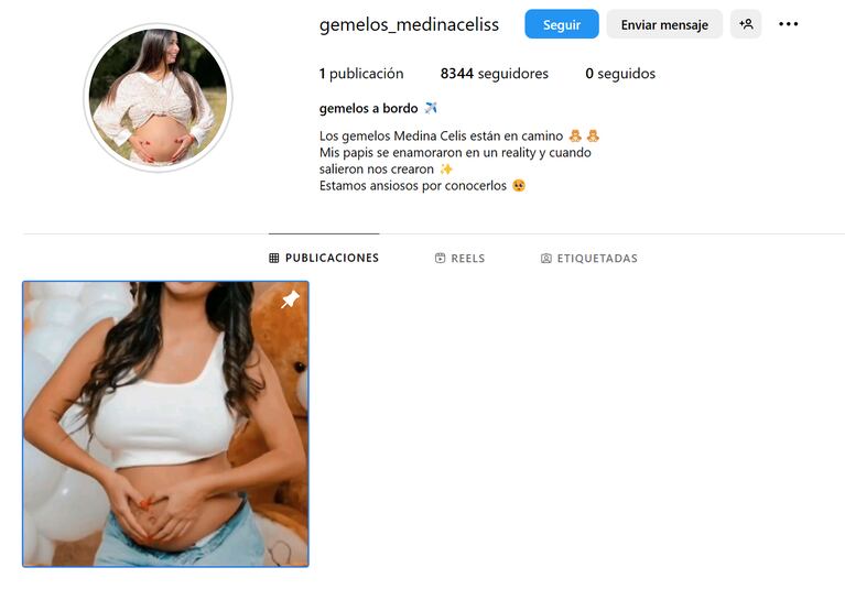 Así es la cuenta de Instagram que Daniela Celis les creó a sus gemelos 