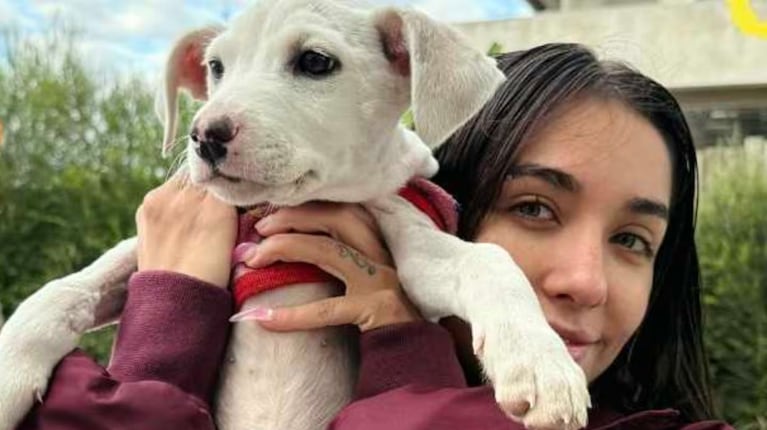 Así es la exclusiva protección que María Becerra construyó para sus perros