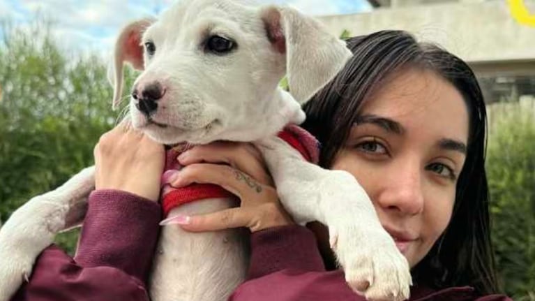 Así es la exclusiva protección que María Becerra construyó para sus perros