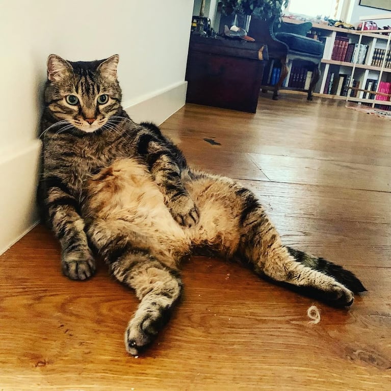 Así es la imponente casa de Joaquín Sabina y Jimena Coronado: arte, libros y un estudio de grabación | Créditos: Instagram @jimecoro