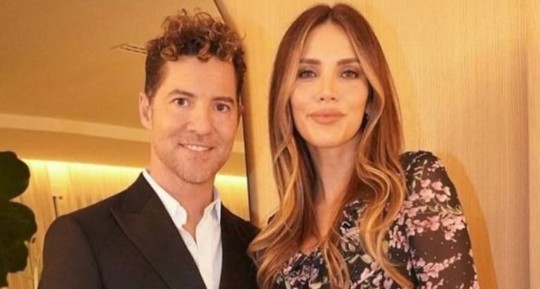 Así es la lujosa casa de David Bisbal y Rosanna Zanetti en Madrid: decoración moderna y una gran cocina | Créditos: Instagram @davidbisbal