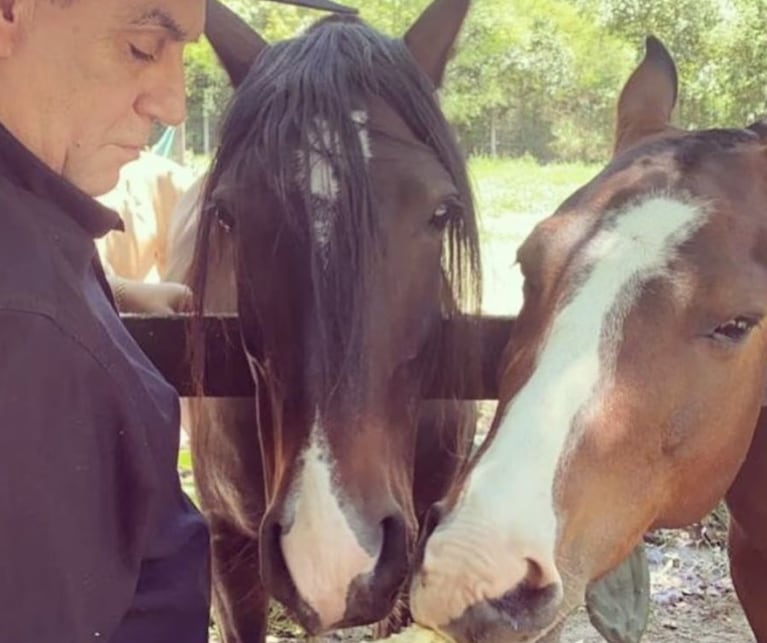 Así es la mansión del Chaqueño Palavecino en Salta: tiene restaurante privado y una bodega | Créditos: CARAS