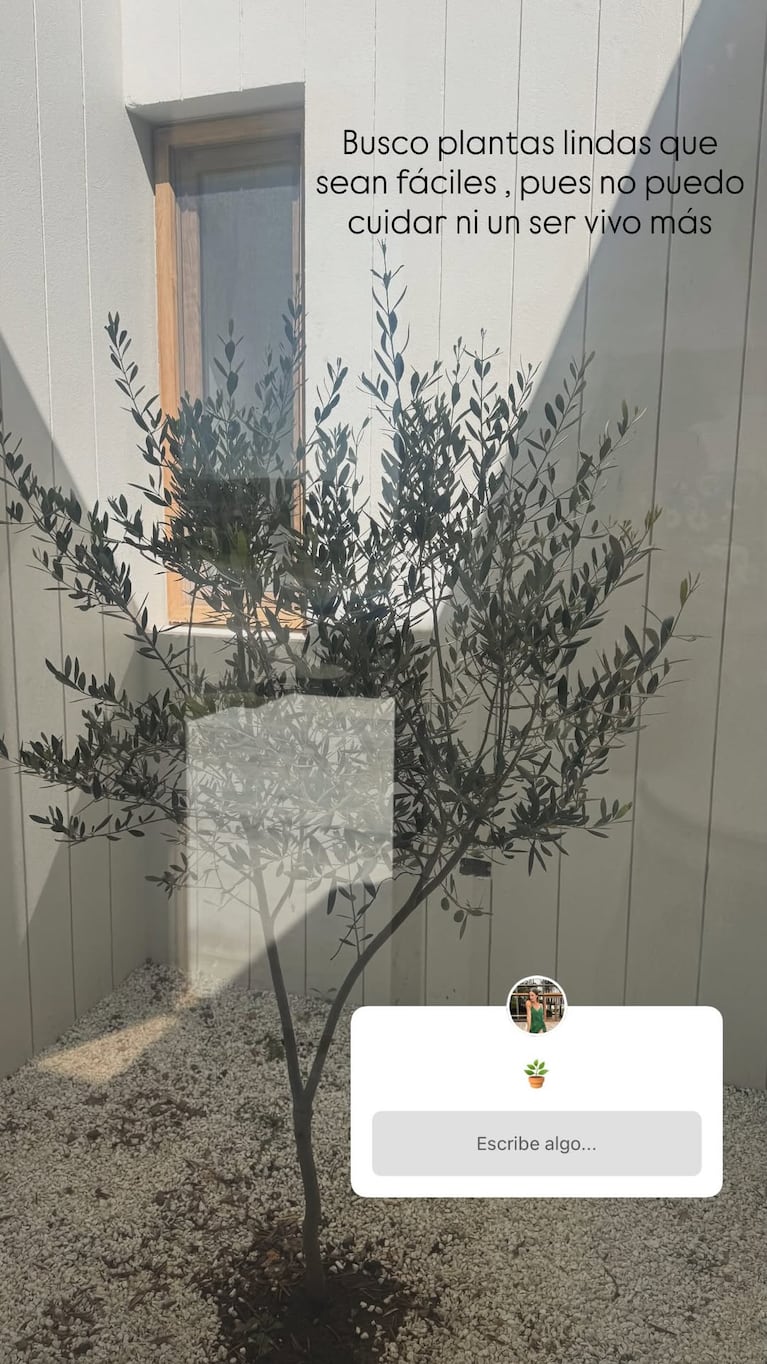 Así es la moderna casa que Paula Chaves y Pedro Alfonso están construyendo para su familia (captura de Instagram)