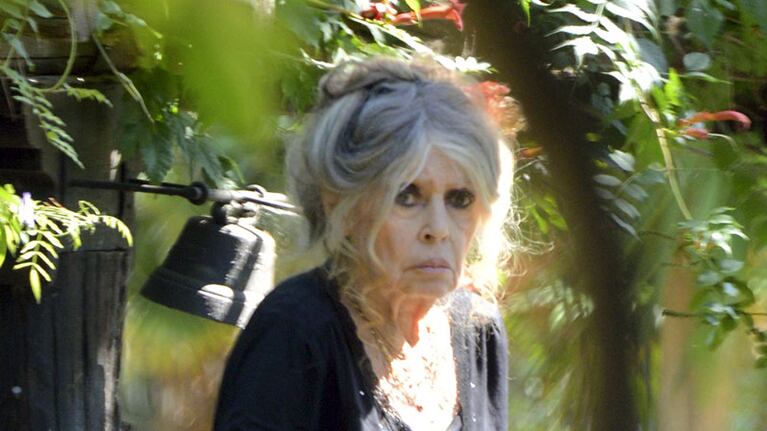 Así es la vida de Brigitte Bardot a pocos días de cumplir 80 años. (Foto: The Grosby Group)