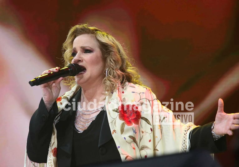 Así fue el regreso de Pimpinela a los escenarios (Foto: Movilpress)