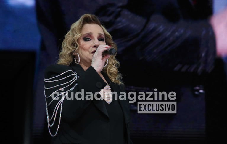 Así fue el regreso de Pimpinela a los escenarios (Foto: Movilpress)