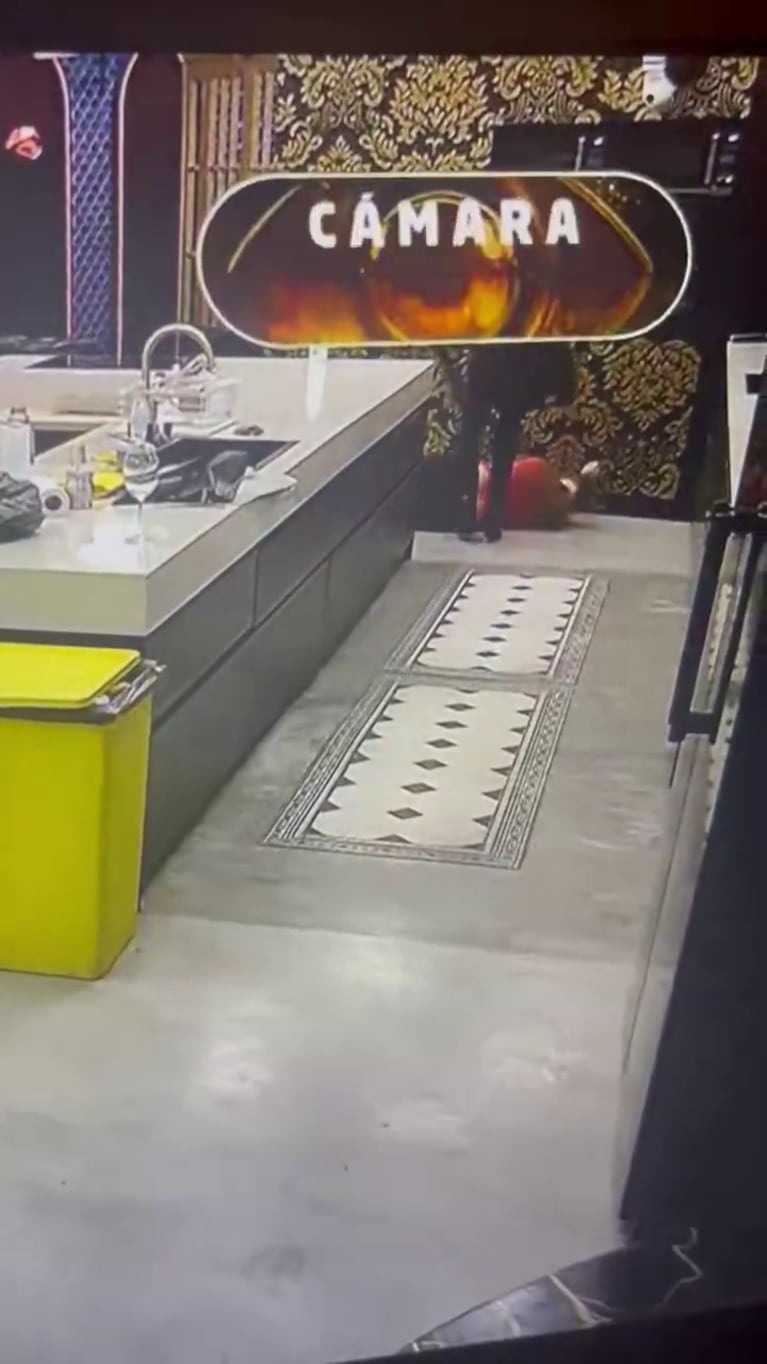 Así fue la caída de Andrea del Boca en la casa de Gran Hermano (Foto: captura de DirecTV Go).