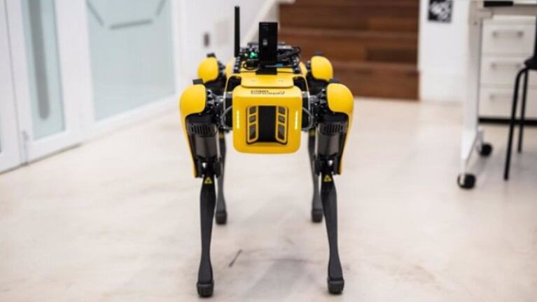 Así funciona Spot, el robot cuadrúpedo de Boston Dynamics que baja escaleras de espaldas y no se cae al tropezar