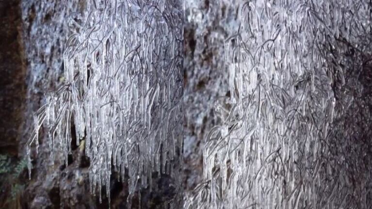 Así luce y suena un árbol de hielo filmado en el Monte Roland, Tasmania