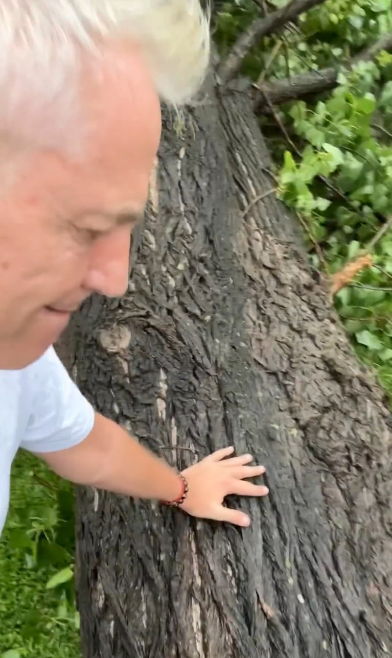 Así quedó la casa de Marley tras el fuerte temporal en Buenos Aires: “Se nos cayó el árbol entero encima”