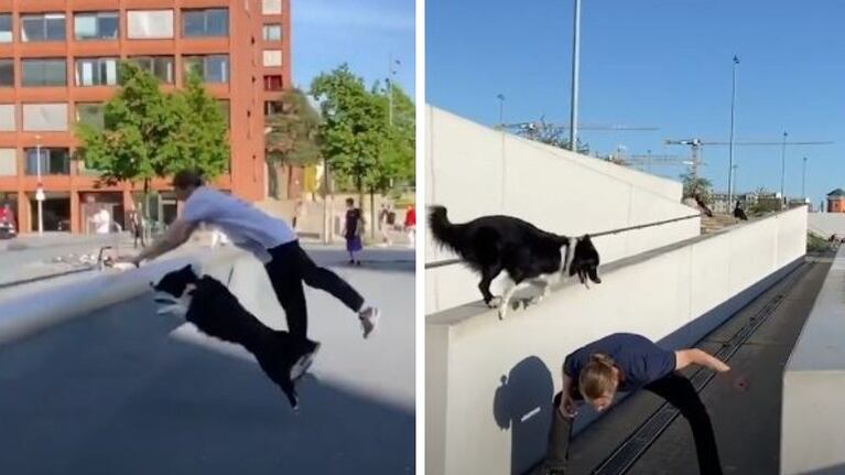 Así son los paseos de Ninja, el perro que hace parkour