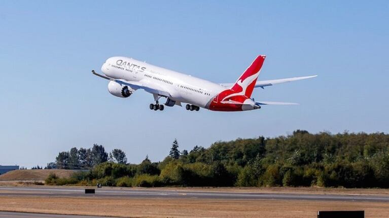 Avión voló por primera vez con un combustible hecho con semillas de mostaza
