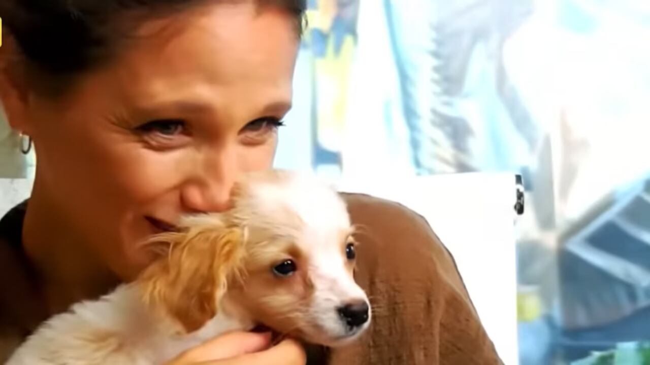 Barbie Vélez adoptó a Bondiolita en vivo: la emoción de sumar una nueva perrita a su familia. Crédito: Captura Bondi Live.