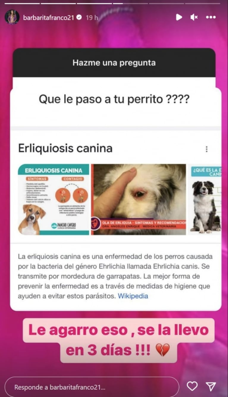 Barby Franco habló de la enfermedad de la que murió su perrita: "Se la llevó en tres días"