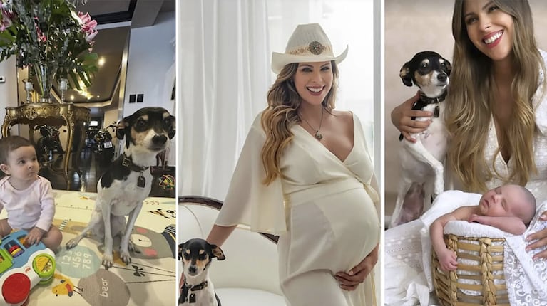 Barby Franco y Fernando Burlando despidieron a Shiva, su perrita de 17 años: “Volá alto, te vamos a extrañar”