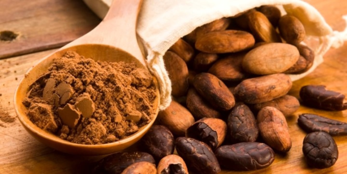 Beneficios del cacao para el cuidado de la salud