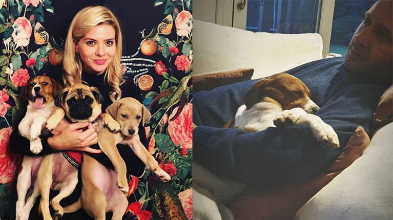 Benjamín se encariñó con los perros de su pareja.