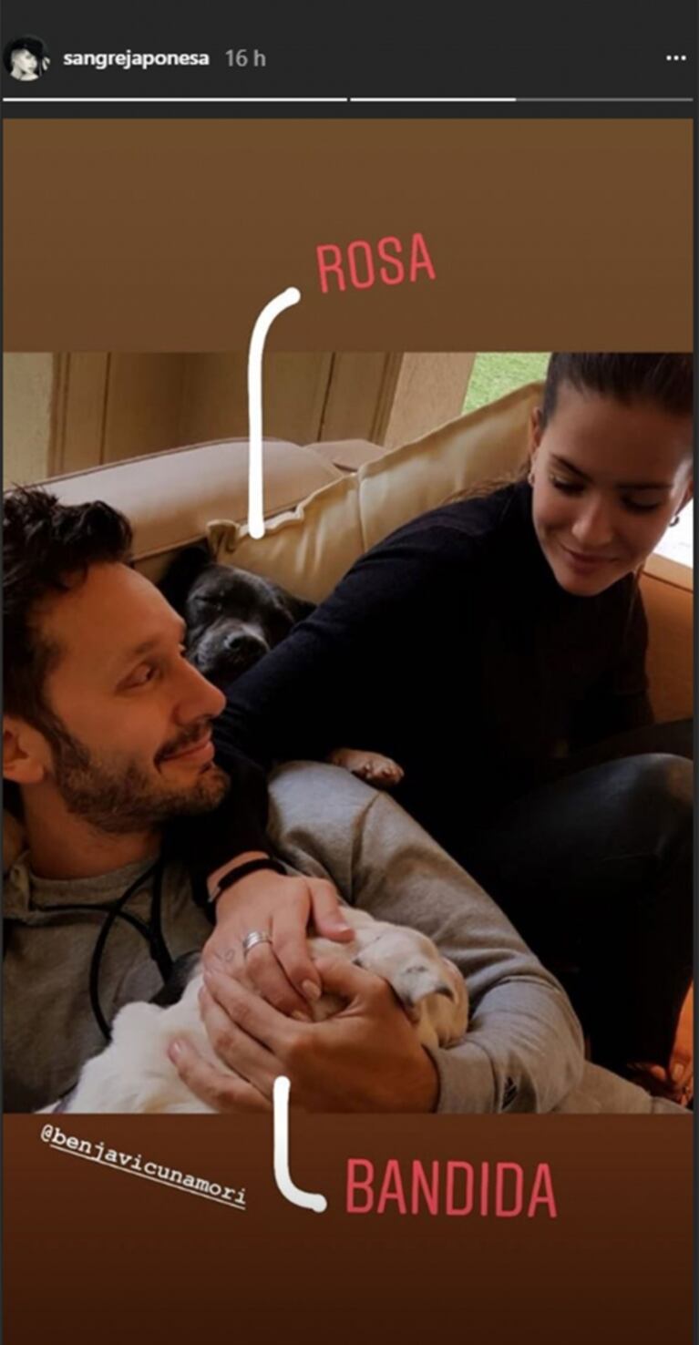 Benjamín Vicuña compartió fotos del cumpleaños de Beltrán: "Seguimos celebrándote"
