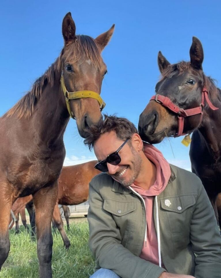Benjamín Vicuña compartió llamativas fotos con cuatro caballos jugando con su pelo