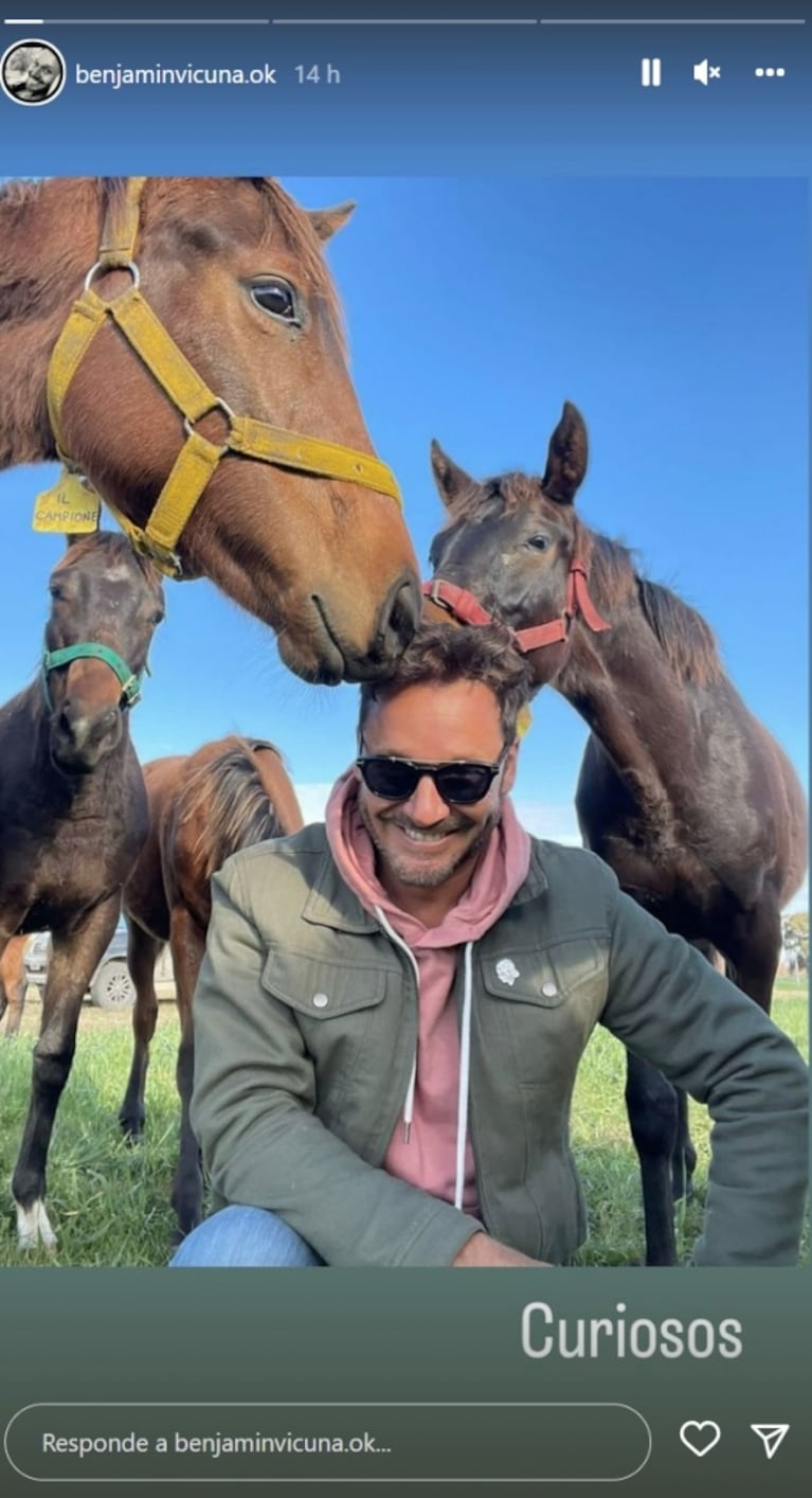 Benjamín Vicuña compartió llamativas fotos con cuatro caballos jugando con su pelo