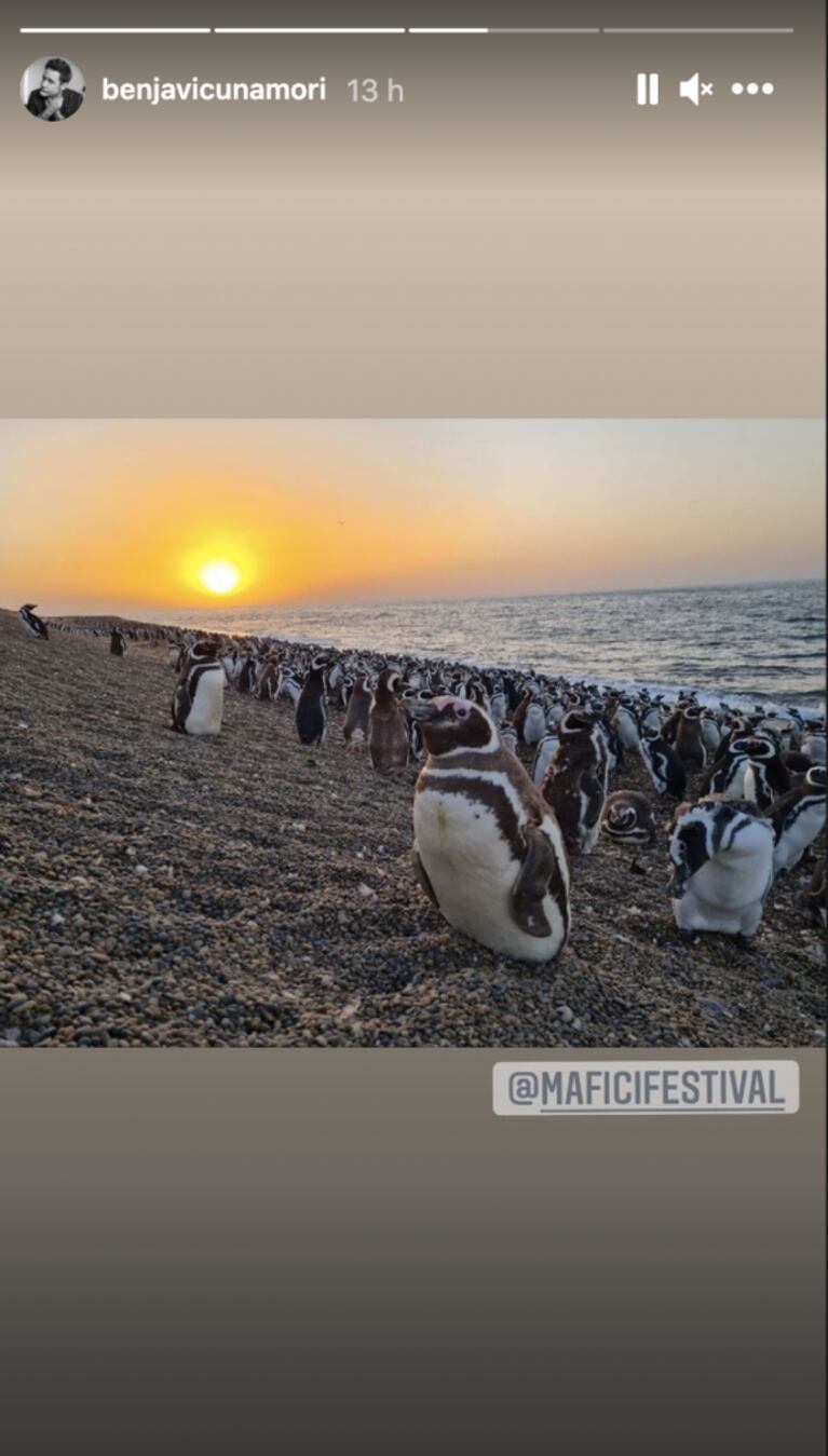 Benjamín Vicuña mostró cómo vivió su fin de semana de soltero en Puerto Madryn: visita a un festival de cine y relax en la naturaleza