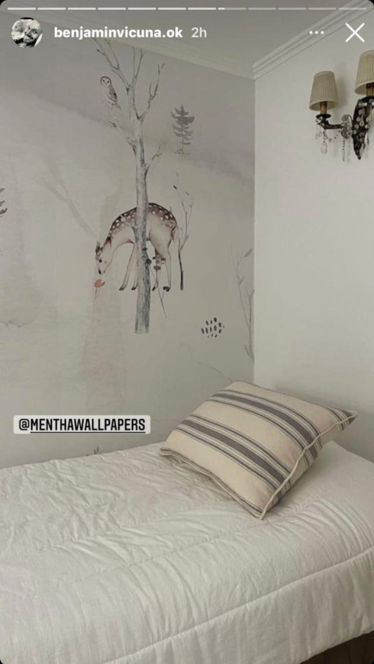 Benjamín Vicuña mostró fotos de cómo quedó la decoración de su nueva súper casa