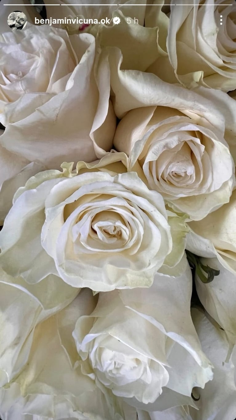 Benjamín Vicuña recordó a su hija Blanca (Foto: Instagram/@benjaviminvicuña.ok)