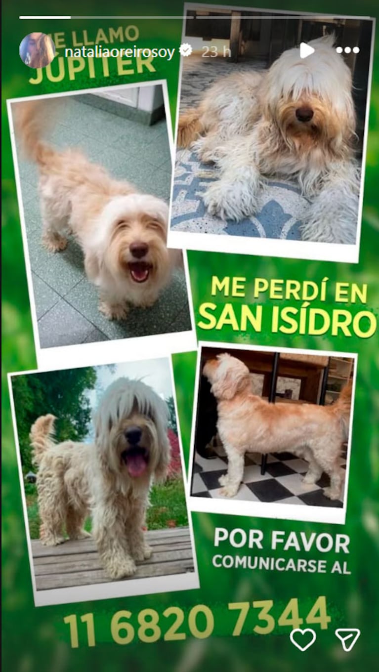 Buscamos a Júpiter, el perro de Natalia Oreiro