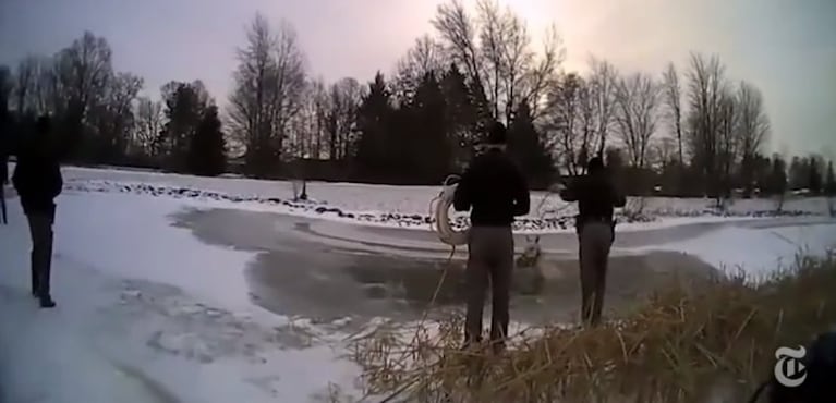  Caballo cayó a un lago congelado y su rescate fue de película