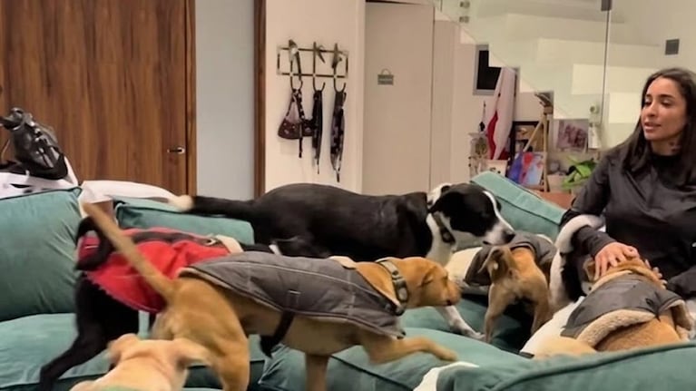 Cada video que comparte sobre sus mascotas rescatadas es una lección silenciosa sobre responsabilidad, empatía y el verdadero significado de dar un hogar a un animal necesitado.   Crédito Web