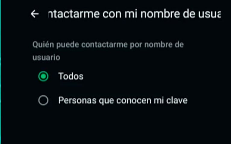 Cambios en WhatsApp: qué es el alias, cómo activarlo (captura de eltrece)