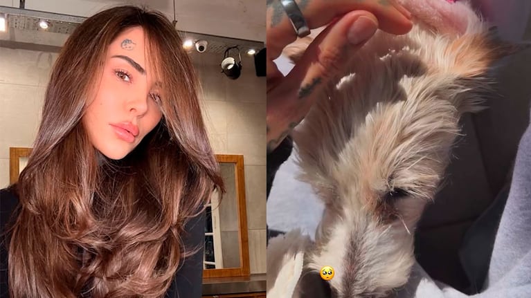 Cande Tinelli comenzó a despedirse de Linda, su perra de 14 años (Foto de Instagram)