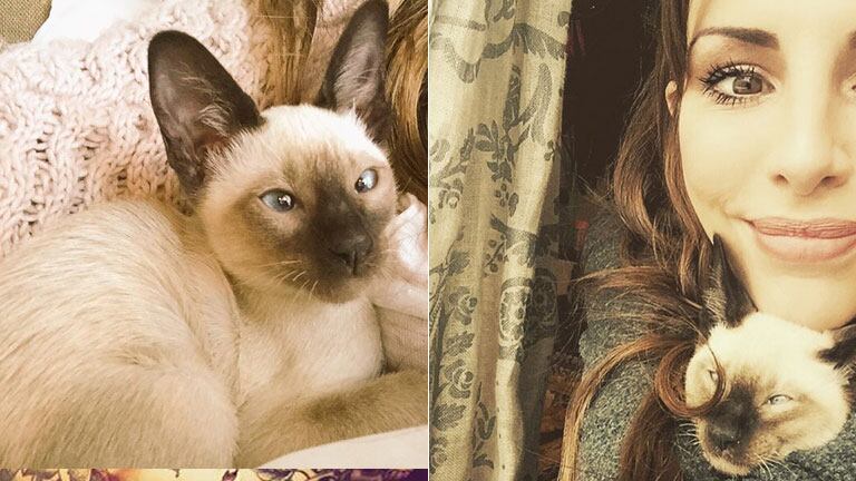 Cande Tinelli presentó a su nueva mascota: "No compres, adoptá"