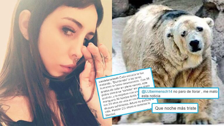 Candelaria Tinelli expresó su dolor por la muerte del oso polar en cautiverio (Fotos: Instagram).