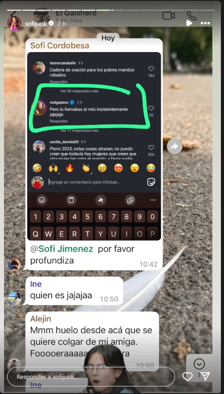 Captura Instagram Stories sofijuok