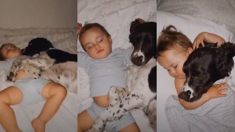Capturan el tierno vínculo entre un niño y su perro, a los que les gusta acurrucarse juntos para dormir