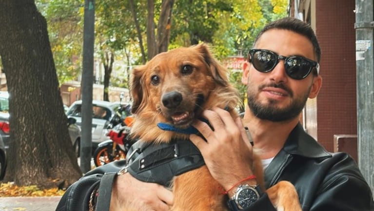 Carlitos, el perro de Nico Occhiato | Créditos: Instagram @nicoocchiato