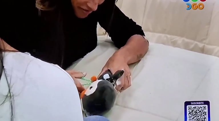 Catalina y Gabriela de Gran Hermano destruyeron el peluche de Tato (Foto: captura de Telefé).