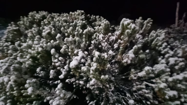 Cayó nieve en Buenos Aires, cerca de Mar del Plata.