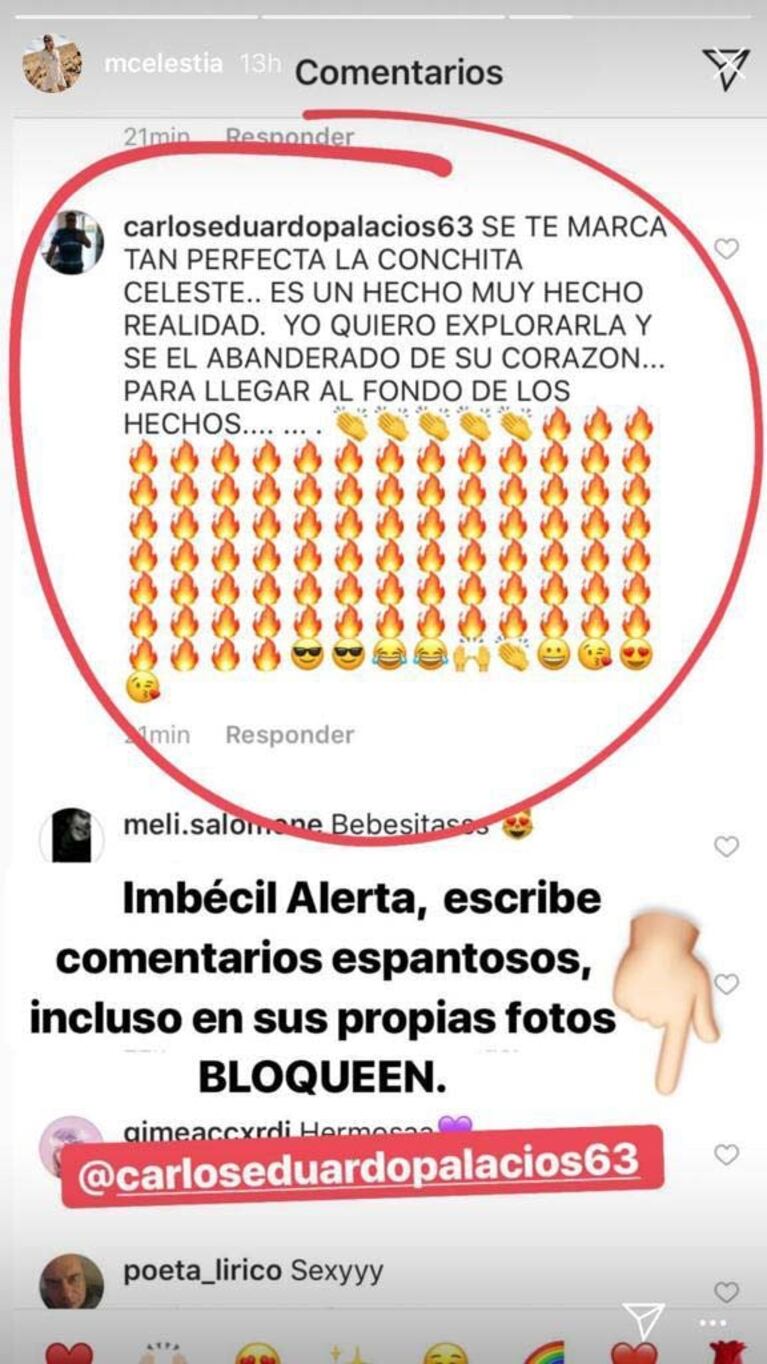 Celeste Cid compartió un repugnante comentario que le dedicó un seguidor y pidió que le bloquearan la cuenta