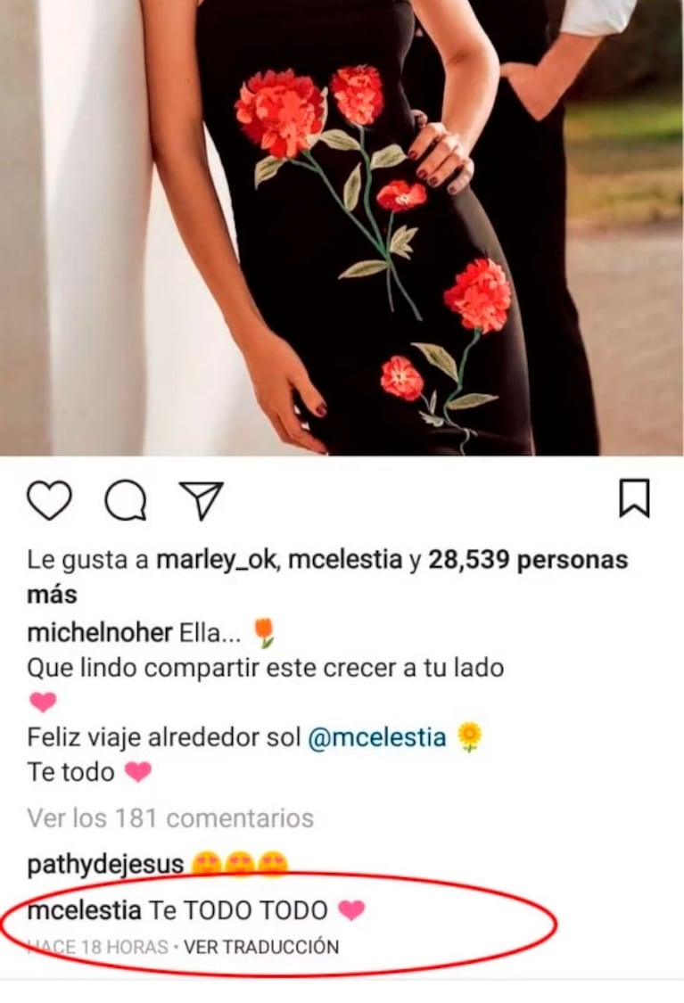 Celeste Cid y Michel Noher, ¿en crisis?: el saludo de cumple de la actriz al actor brilló por su ausencia