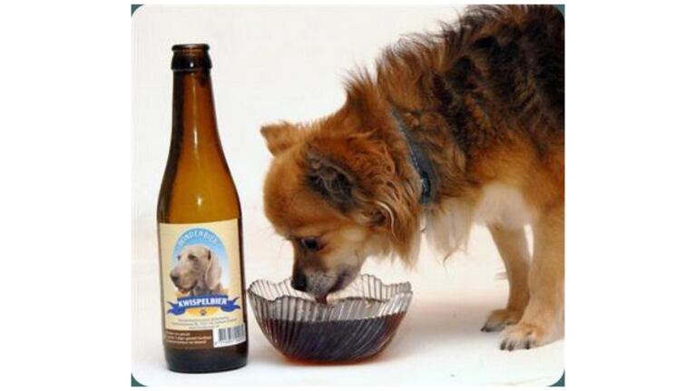 Cerveza para perros