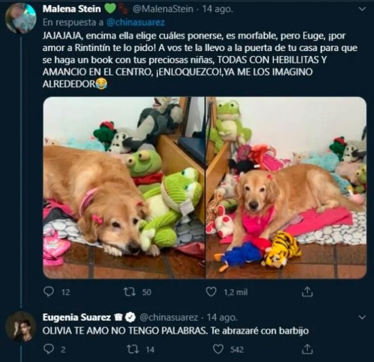 China Suárez, 'derretida' al ver a una perra ¡que saca a pasear a sus peluches!: "No respondo de mí"