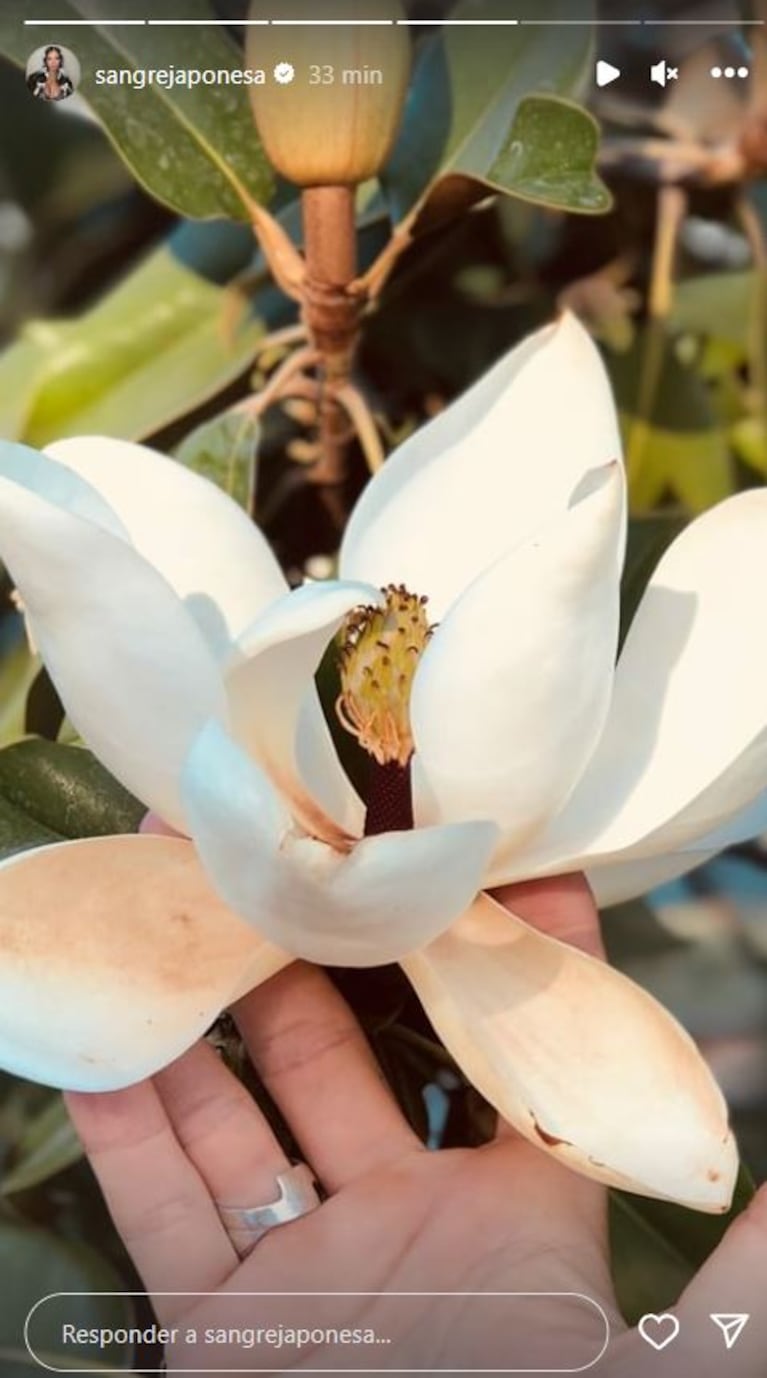 China Suárez sorprendió a Magnolia Vicuña en el día de su cumpleaños: el video del dulce despertar de la niña