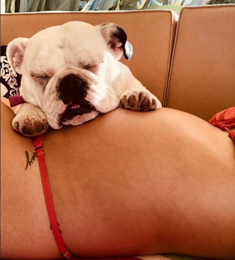 China Suárez, tierna foto de su panza embarazada y fuerte mensaje contra las críticas: "Tengo estrías y no me molestan"