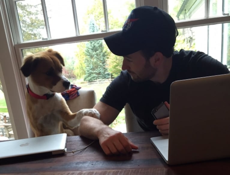 Chris Evans y su debilidad por los "perros de rescate"