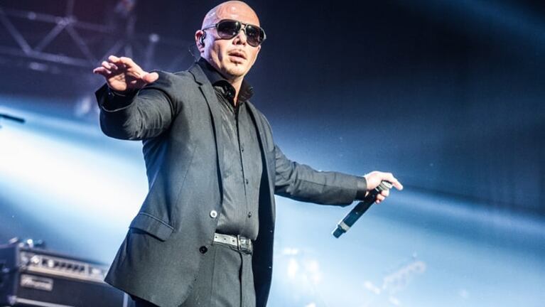 Cinco datos de Pitbull que quizás no conocías