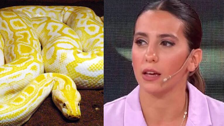 Cinthia Fernández contó cuál fue su primer e inusual trabajo.