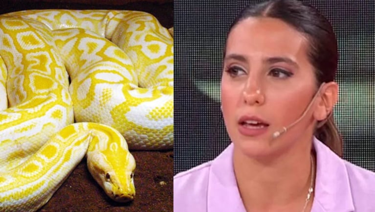 Cinthia Fernández contó cuál fue su primer e inusual trabajo.
