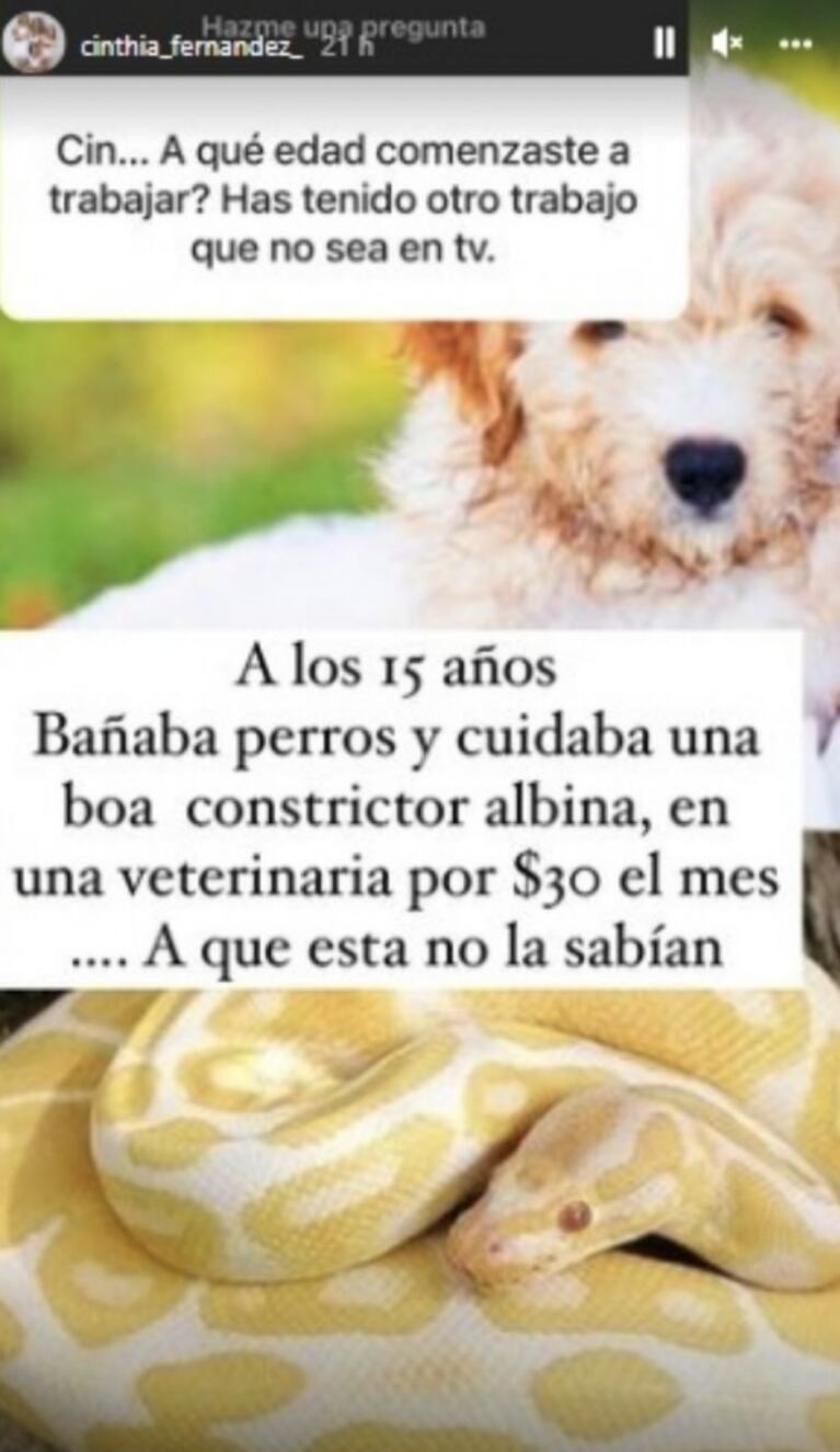 Cinthia Fernández contó cuál fue su primer e inusual trabajo: "Cuidaba una boa" 